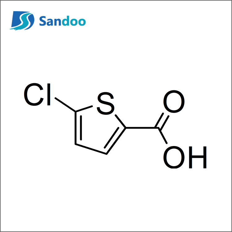 5-Klorothiofen-2-Asid Karboksilik