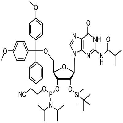 5'-O-(4,4-Dimethoxytrityl)-2'-O-[(tert-butil)dimetilsilyl]-N-isobutyrylguanosine-3'-(2-cyanoethyl-N,N-diisopropyl)phosphoramidite