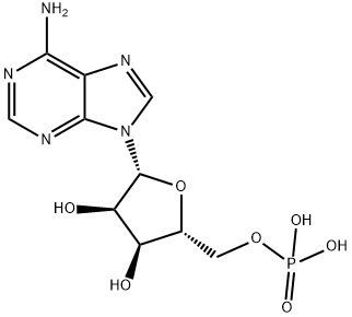 Adenosin 5'-monophosphate, asid bebas