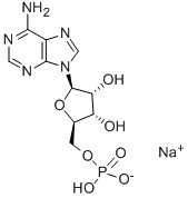 Garam Natrium Adenosin 5'-monophosphate