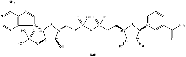 BETA-NICOTINAMIDE ADENINE DINUCLEOTIDE PHOSPHATE SODIUM GARAM