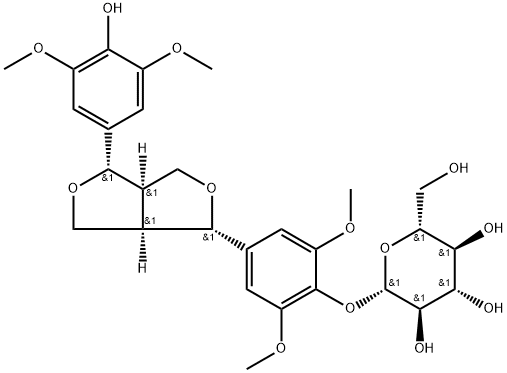 ELEUTHEROIDE E1