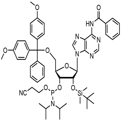 N-Benzoyl-5'-O-(4,4-Dimethoxytrityl)-2'-O-[(tert-butyl)dimethylsilyl]adenosine-3'-(2-cyanoethyl-N,N-diisopropyl)phosphoramidit