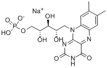 Garam Natrium Riboflavin 5'-Monophosphate